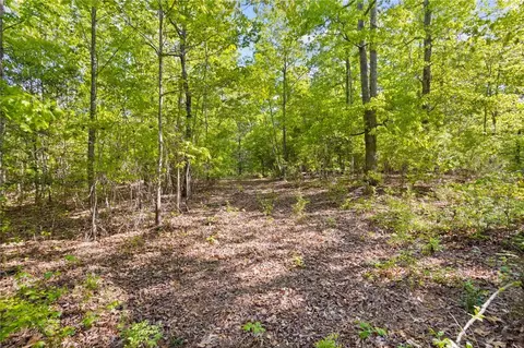 271 Chapman Grove Rd, Pelzer, SC 29669 photo 5