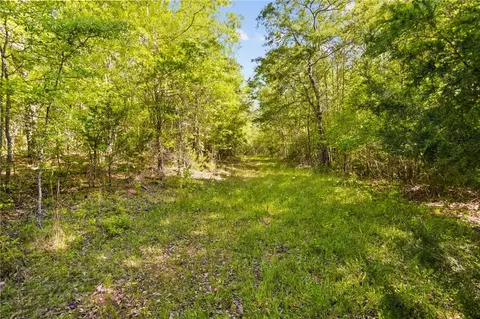 271 Chapman Grove Rd, Pelzer, SC 29669 photo 17