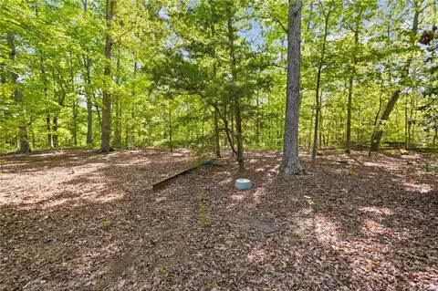 271 Chapman Grove Rd, Pelzer, SC 29669 photo 6