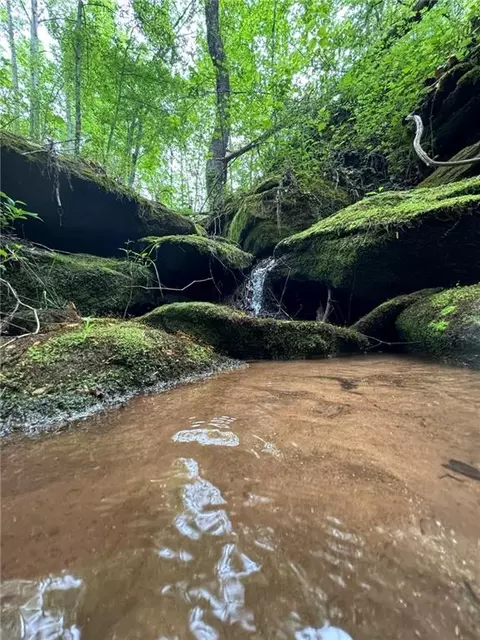 Griffin Mill Road, Pickens, SC 29671