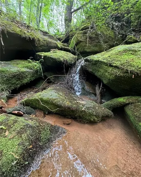 Griffin Mill Road, Pickens, SC 29671 photo 10