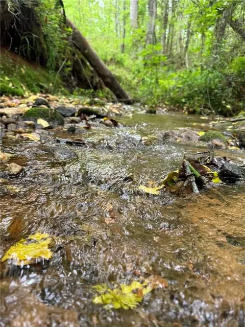 Griffin Mill Road, Pickens, SC 29671 photo 2