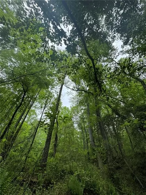 Griffin Mill Road, Pickens, SC 29671 photo 9