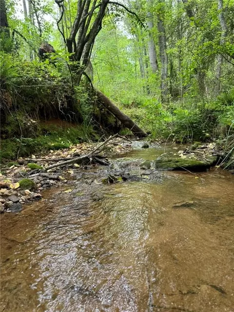 Griffin Mill Road, Pickens, SC 29671 photo 3