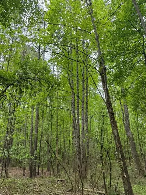 Griffin Mill Road, Pickens, SC 29671 photo 6