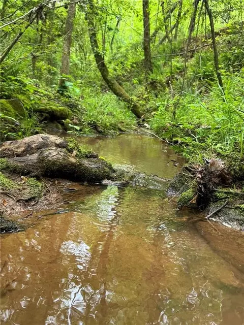 Griffin Mill Road, Pickens, SC 29671 photo 7