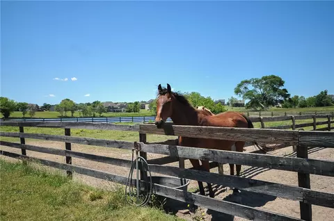 398 Long Rd, Williamston, SC 29697 photo 35