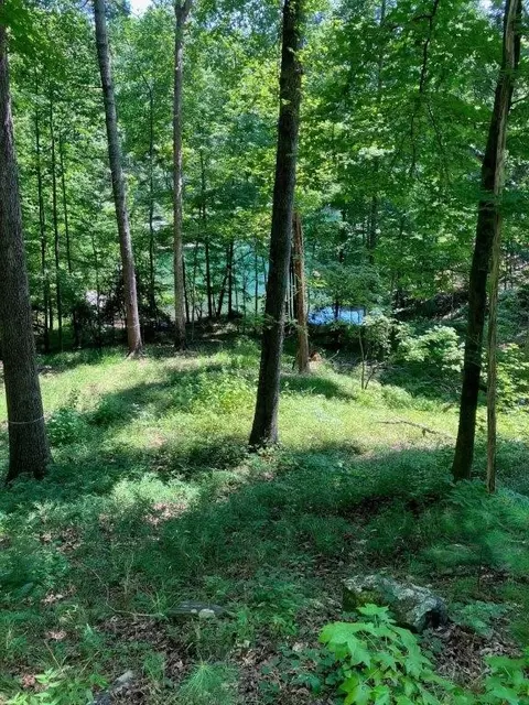 149 Saranac Dr, Sunset, SC 29685 photo 8