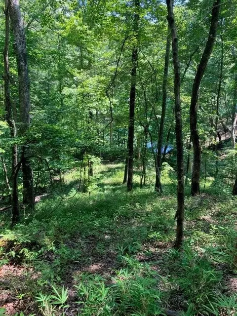 149 Saranac Dr, Sunset, SC 29685 photo 9