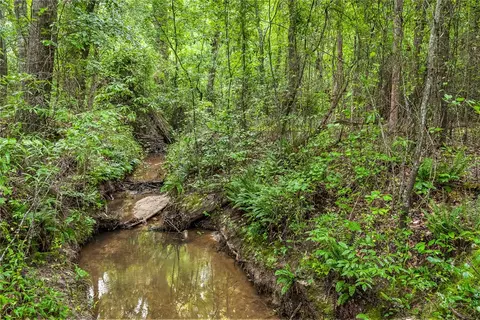 1013 Farmer Rd, Starr, SC 29684 photo 28