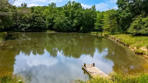 403 Joe Black Rd, Pelzer, SC 29669 photo 47