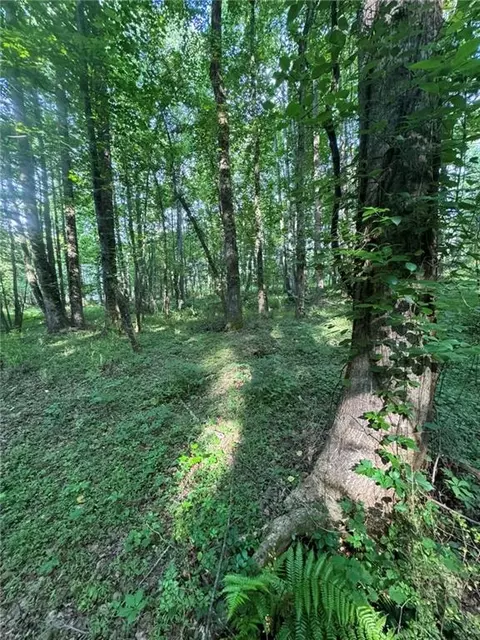 Old Mill Road, Easley, SC 29642 photo 11