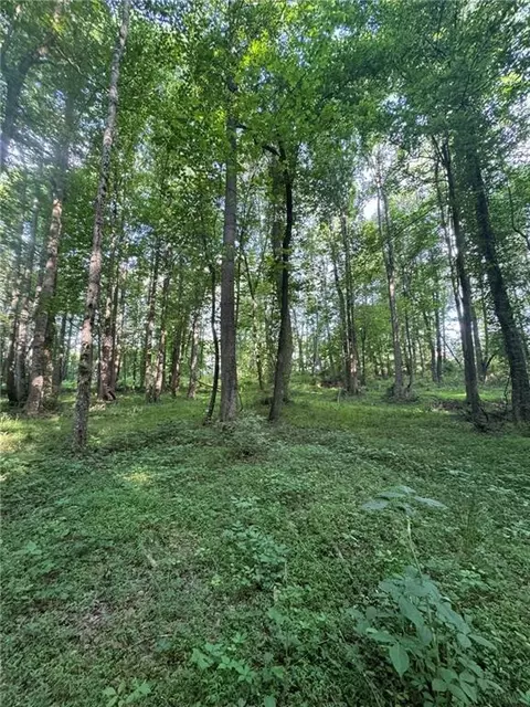 Old Mill Road, Easley, SC 29642 photo 9