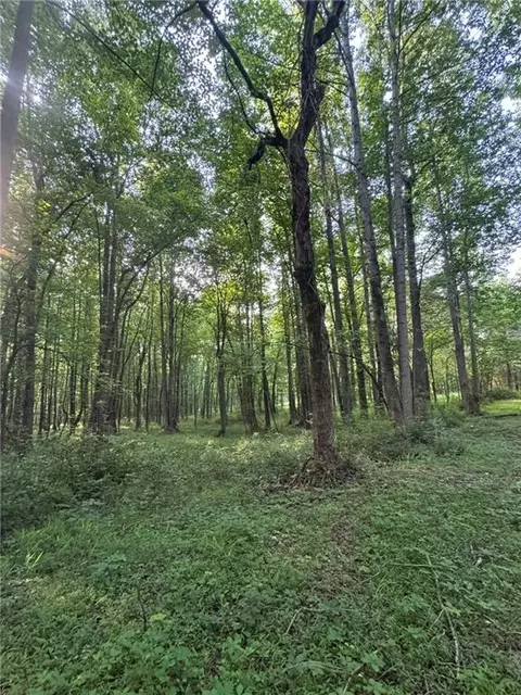 Old Mill Road, Easley, SC 29642 photo 3