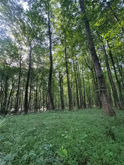 Old Mill Road, Easley, SC 29642