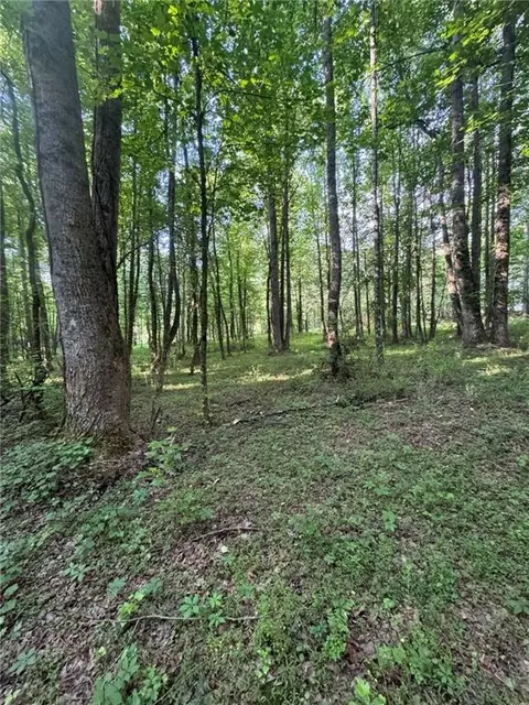 Old Mill Road, Easley, SC 29642 photo 10