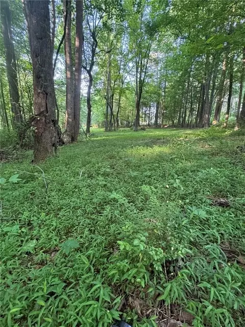 Old Mill Road, Easley, SC 29642 photo 6