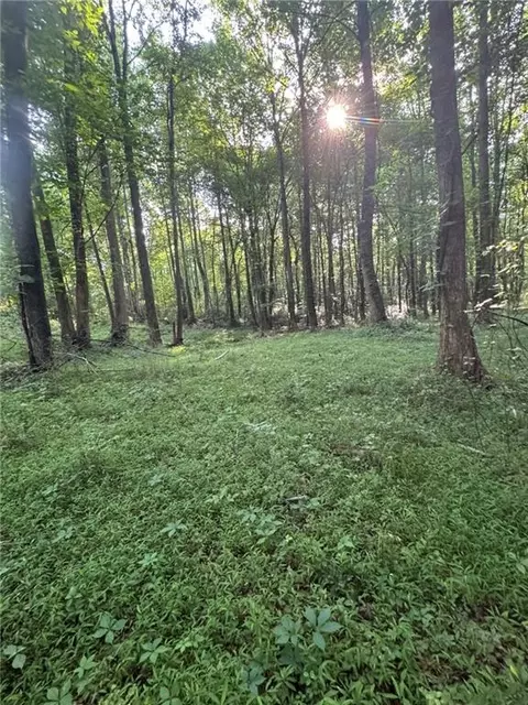 Old Mill Road, Easley, SC 29642 photo 5