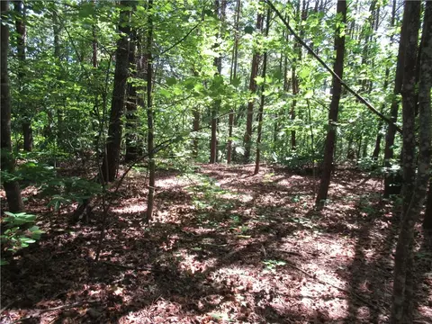 221 River Bliff Rd, Cleveland, SC 29635