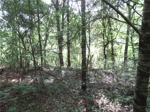 6 Midway Rd # A, Pickens, SC 29671 photo 4