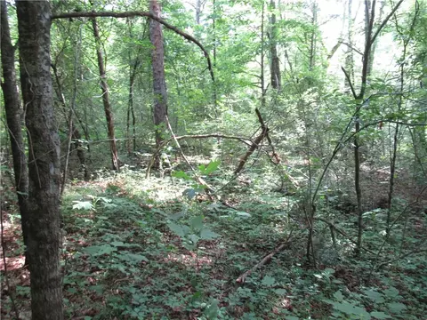 6 Midway Rd # A, Pickens, SC 29671 photo 21