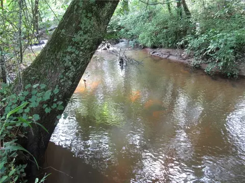 6 Midway Rd # A, Pickens, SC 29671 photo 11