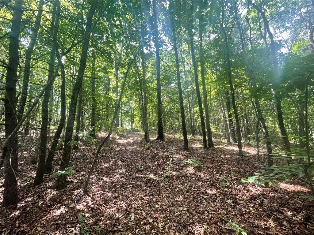 260 Cassidy Brg Rd  