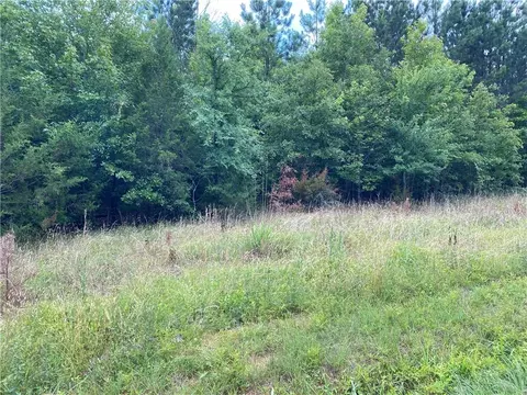Gin Mill Road, Honea Path, SC 29654 photo 2