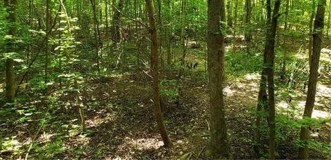 00 Thorn Ridge Ln, Pelzer, SC 29669