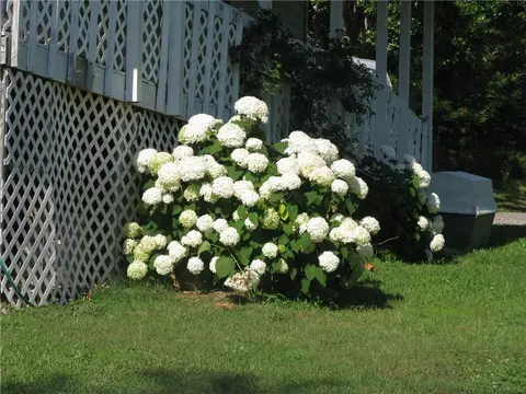 155 A Frame Rd, Iva, SC 29655 photo 32