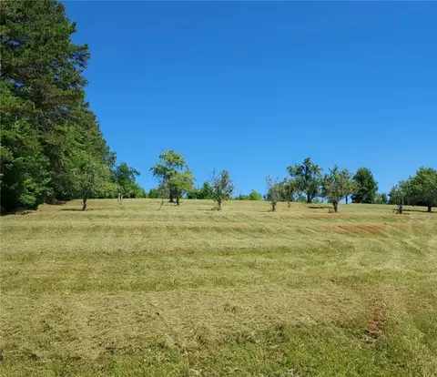 230 Kudzu Dr, Walhalla, SC 29691 photo 28