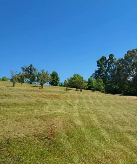 230 Kudzu Dr, Walhalla, SC 29691 photo 29