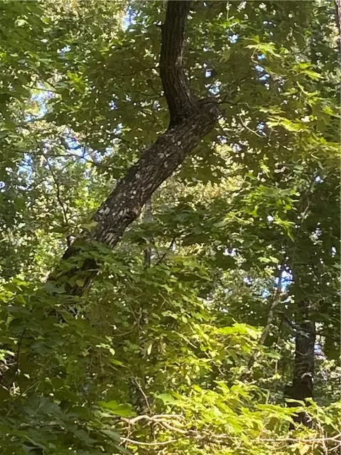 00 Windtree Ridge Rd, Pickens, SC 29671 photo 8