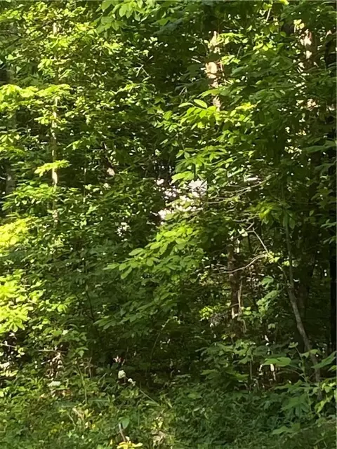 00 Windtree Ridge Rd, Pickens, SC 29671 photo 7
