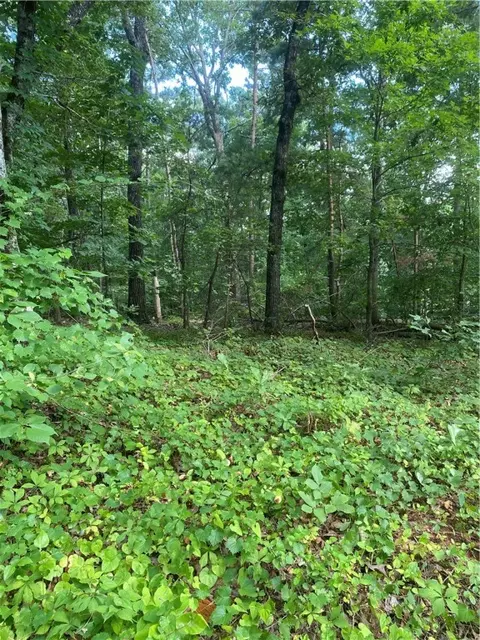 00 Windtree Ridge Rd, Pickens, SC 29671