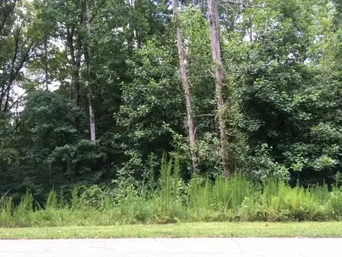0 Lot 16601661 Point Rd, Westminster, SC 29693