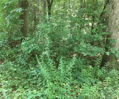lot30 Fox Run Rd, Walhalla, SC 29691
