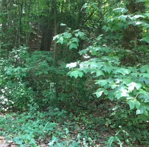 lot31 Den Ridge Dr, Walhalla, SC 29691