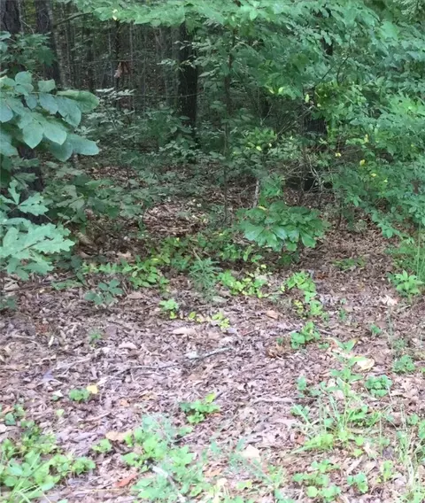 lot33 Den Ridge Dr, Walhalla, SC 29691