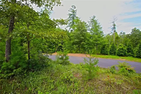 lot E 2 Pixie Moss Way, Sunset, SC 29685 photo 22