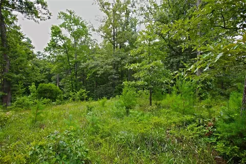 lot E 2 Pixie Moss Way, Sunset, SC 29685 photo 16