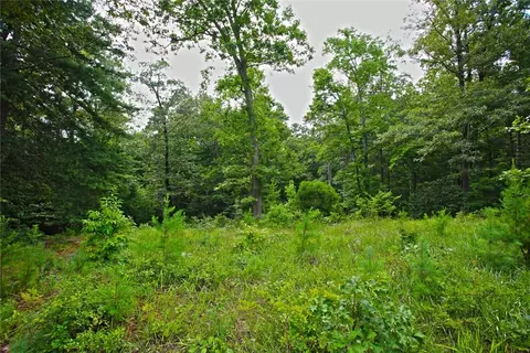lot E 2 Pixie Moss Way, Sunset, SC 29685 photo 15