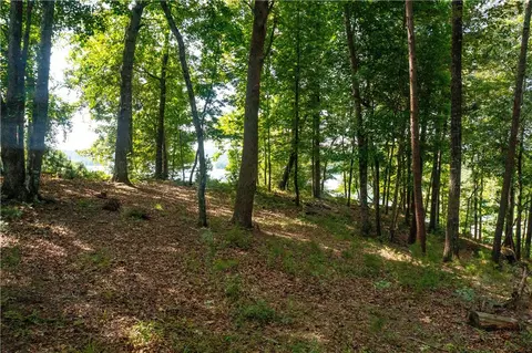 306 E Fort George Way, Sunset, SC 29685 photo 4