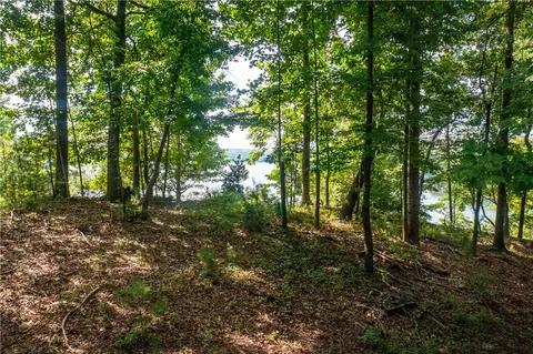 306 E Fort George Way, Sunset, SC 29685 photo 5
