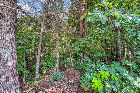 204 Rivers Edge, Easley, SC 29642 photo 19
