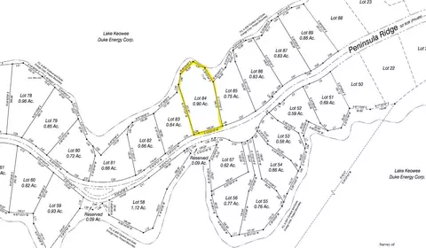 414 Peninsula Rdg, Sunset, SC 29685 photo 48