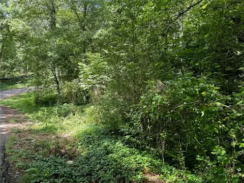 10 Mill St, Pelzer, SC 29669 photo 7
