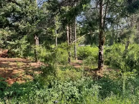 207 Old River Rd, Pelzer, SC 29669 photo 2