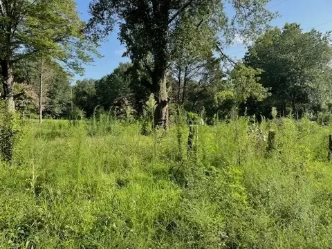 207 Old River Rd, Pelzer, SC 29669 photo 3