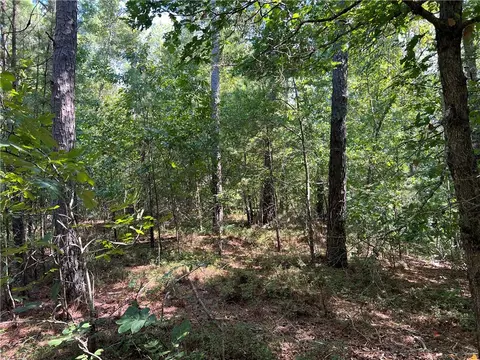 175 Old Henderson Rd, Central, SC 29630 photo 6